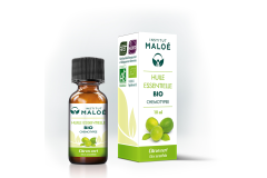 HE Citron vert 10ml Institut Maloé
