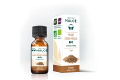 HE Cumin 5ml Institut Maloé