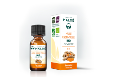 HE Curcuma 5ml Institut Maloé