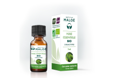 HE Curcuma Zedoaria 5ml Institut Maloé