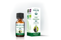 HE Epinette noire 10ml Institut Maloé