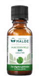 HE Eucalyptus globulus 30ml Institut Maloé