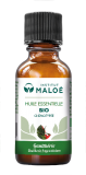 HE Gaulthérie odorante 30ml Institut Maloé