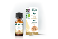HE Gingembre 10ml Institut Maloé