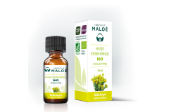 HE Hélichryse italienne 10ml Institut Maloé