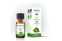 HE Laurier Noble 10ml Institut Maloé