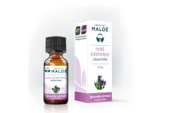HE Lavandin abrialis 10ml Institut Maloé