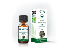 HE Lentisque Pistachier 5ml Institut Maloé