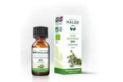 HE Marjolaine à coquilles 10ml Institut Maloé