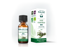 HE Romarin verbénone 5ml Institut Maloé