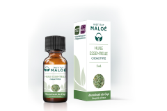 HE Snowbush du cap 5ml Institut Maloé