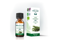 HE Thym linalol 10ml Institut Maloé