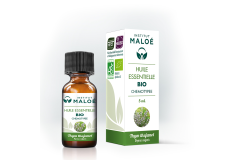 HE Thym Thujanol Bio 5ml Institut Maloé